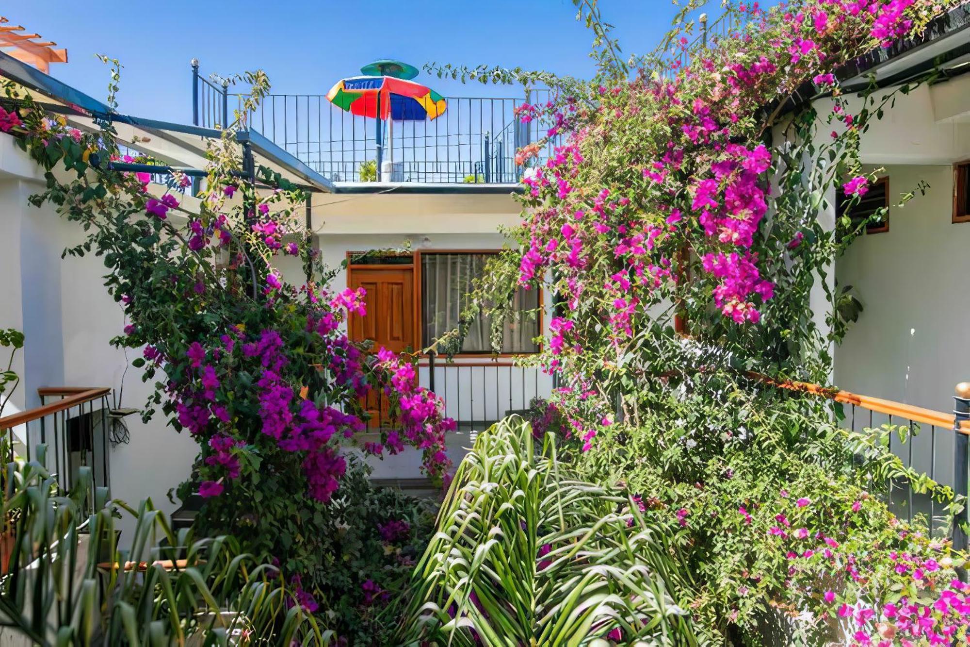 فندق Casa El Errante أريكيبا المظهر الخارجي الصورة